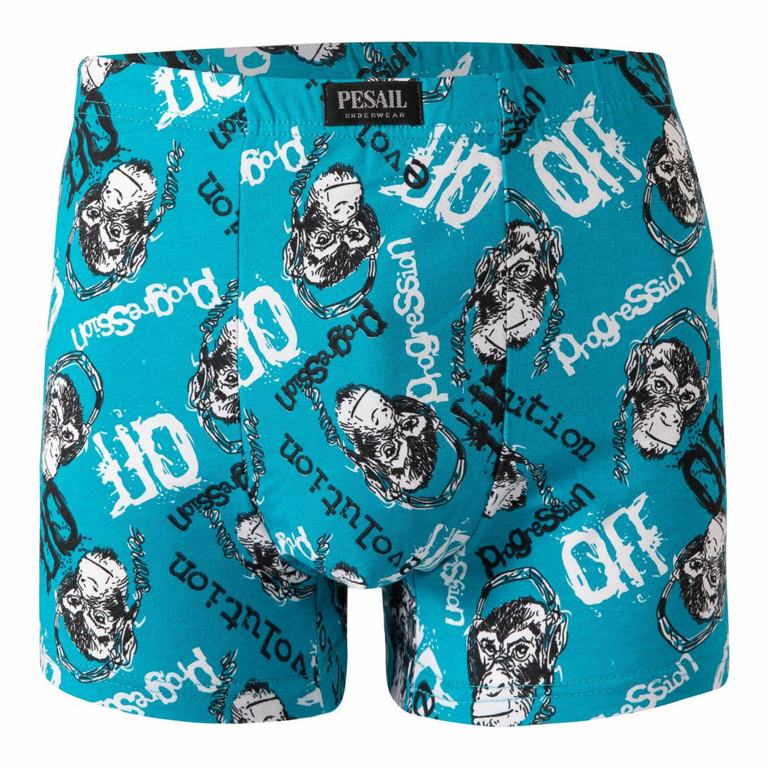 Men's funny boxer shorts cotton printed mens underwear G55310 4 pieces per pack