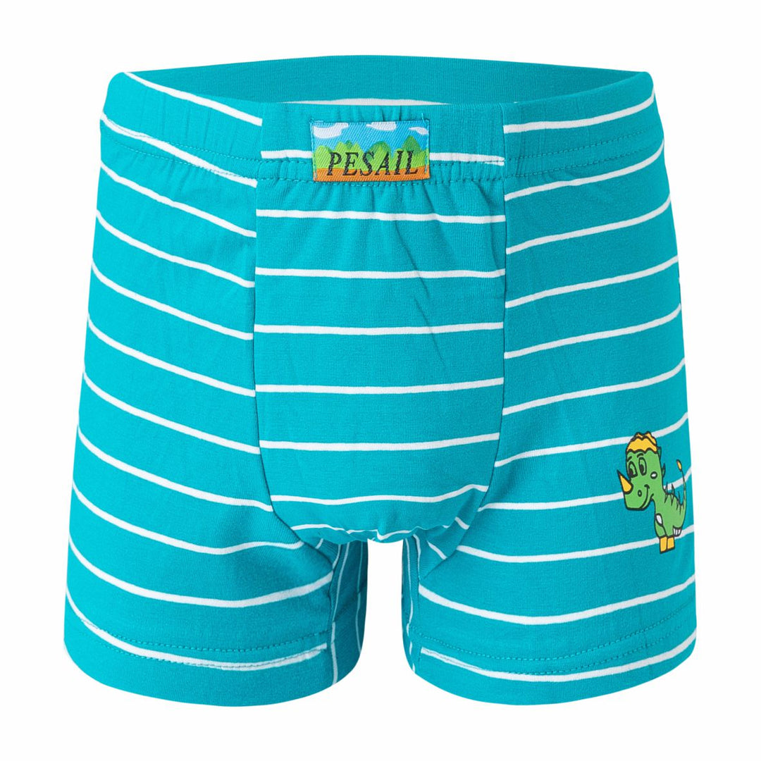 Boys' boxer shorts PE-XQ2671 - 4 pcs in a pack