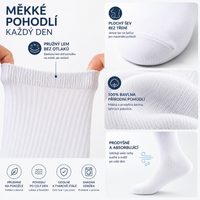 FANNIFEN