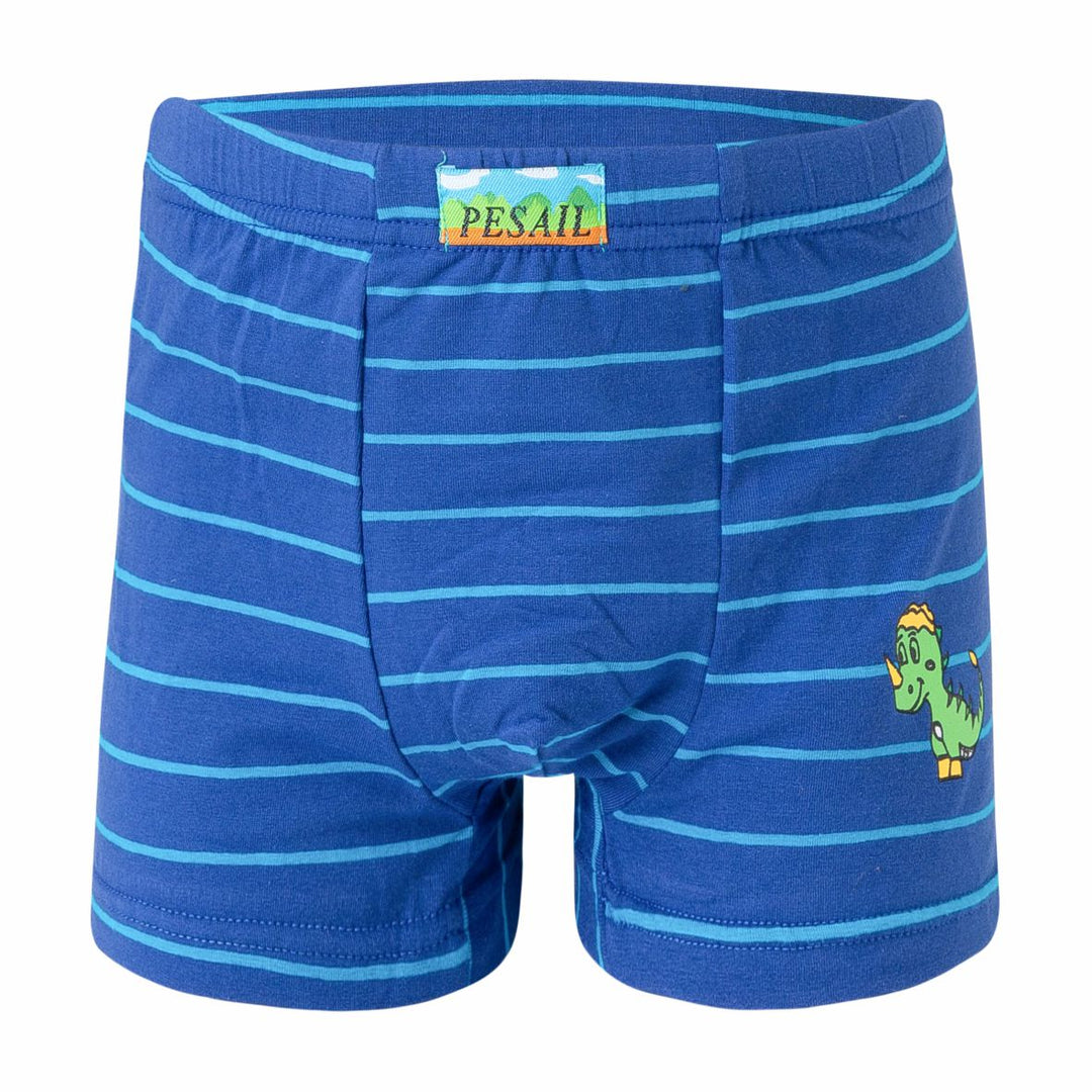 Boys' boxer shorts PE-XQ2671 - 4 pcs in a pack