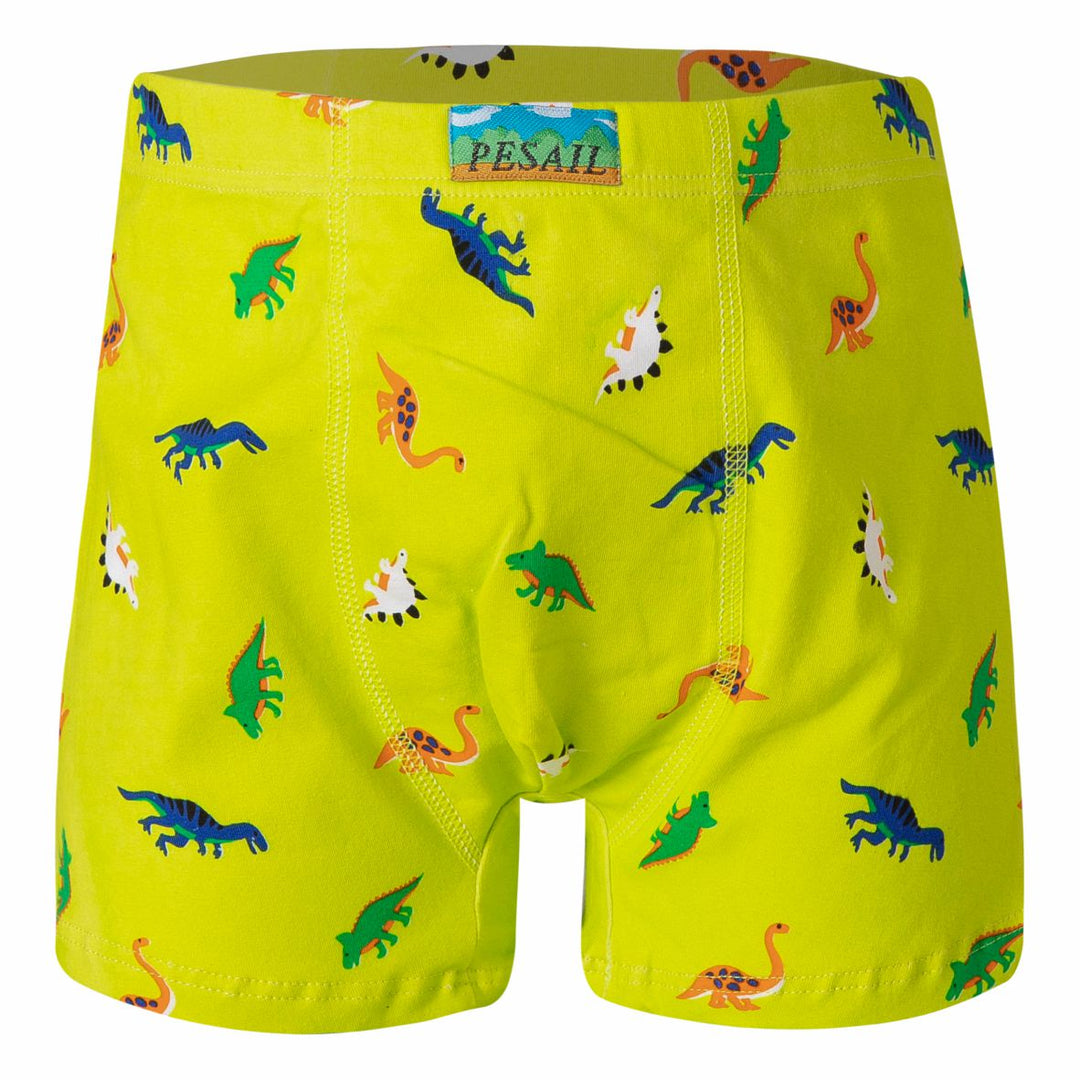 Boys' boxer shorts Dinosaur PE-XQ2635 4 pieces in a pack