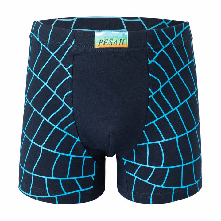 Boys' Boxers Spider Web PE-XQ2617 4 pcs in a pack
