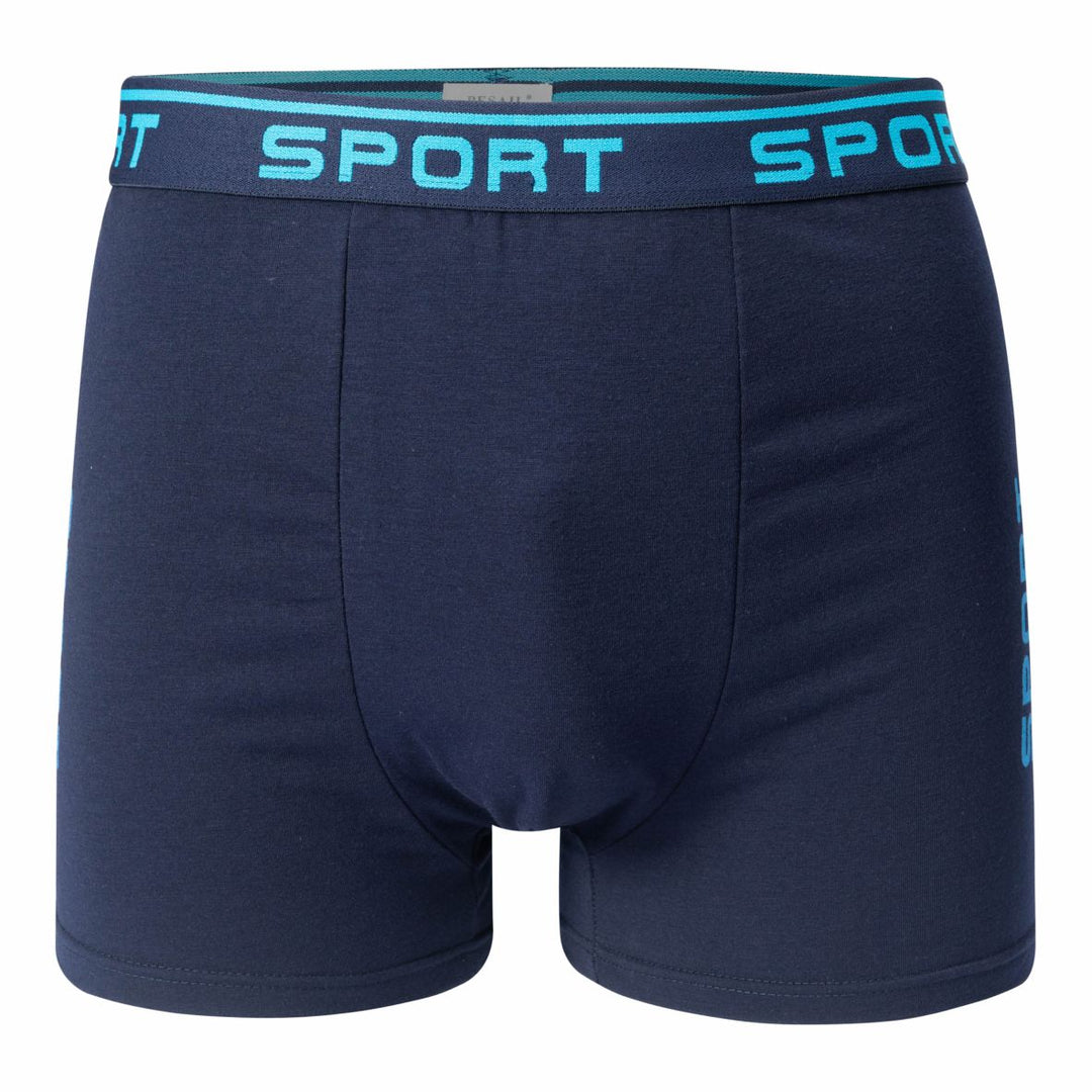 Men's boxer shorts SPORT T091 4 pieces in a pack