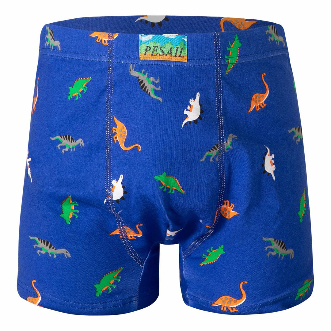 Boys' boxer shorts Dinosaur PE-XQ2635 4 pieces in a pack