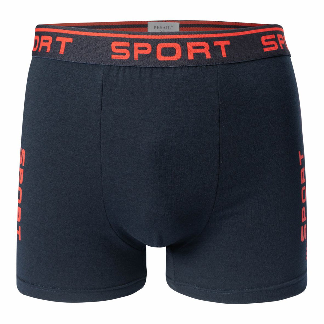 Men's boxer shorts SPORT T091 4 pieces in a pack