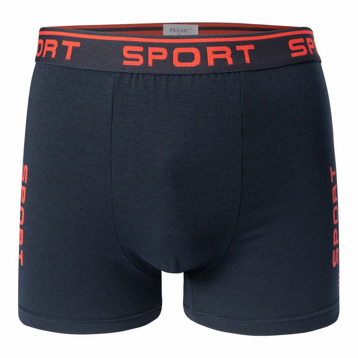 Men's boxer shorts SPORT T091 4 pieces in a pack