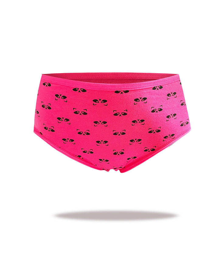 Women's cotton panties RACCOON YW4133 3 pcs.