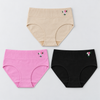 Women’s Cotton-Blend High-Waisted Floral Embroidered Briefs YW4195-A-3 Pieces